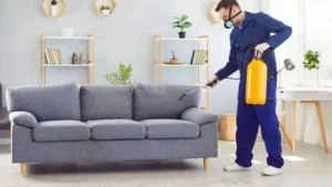 Sofa Cleaning