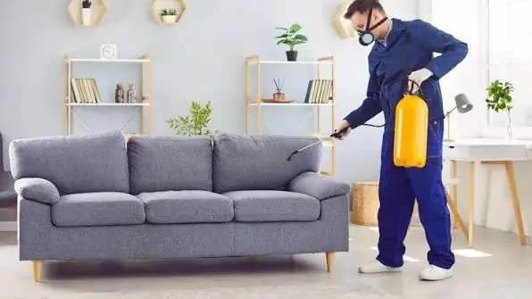 Sofa Cleaning